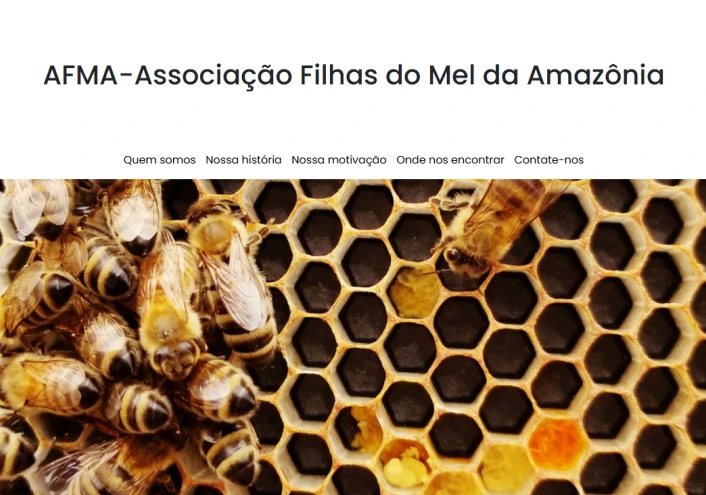 Imagem site afma