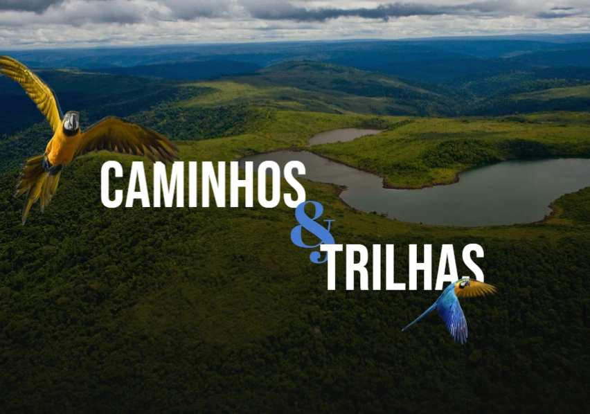 Imagem site caminhos e trilhas